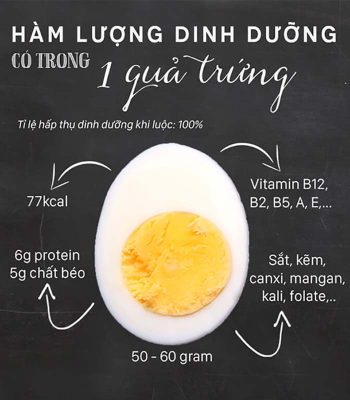 Ăn trứng nhiều có tốt không? Thông tin về trứng không phải ai cũng biết được