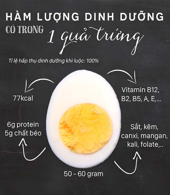 Ăn trứng nhiều có tốt không? Thông tin về trứng không phải ai cũng biết được