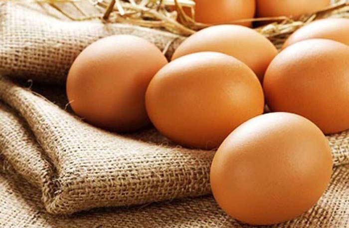 Ăn trứng nhiều có tốt không? Thông tin về trứng không phải ai cũng biết được