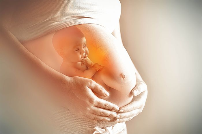 Dây rốn em bé nối với gì của mẹ? Và những điều cần biết