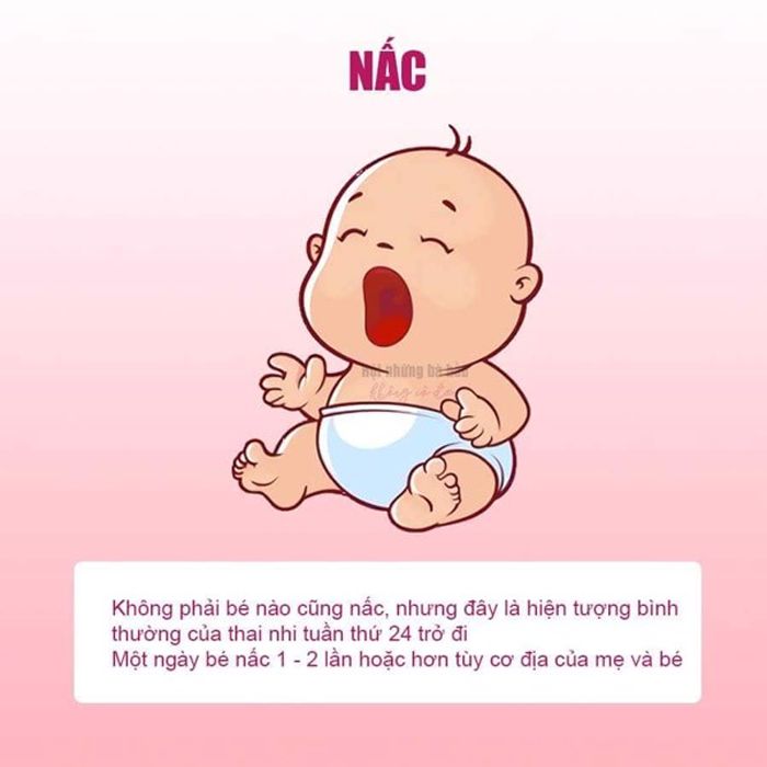 Em bé trong bụng mẹ ăn như thế nào?