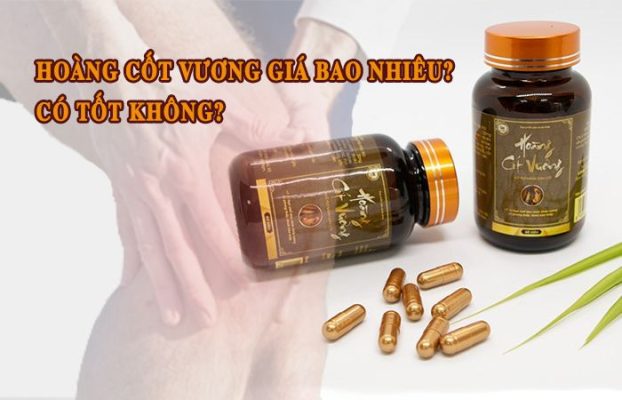 Hoàng Cốt Vương Giá Bao Nhiêu? Có Tốt Không?