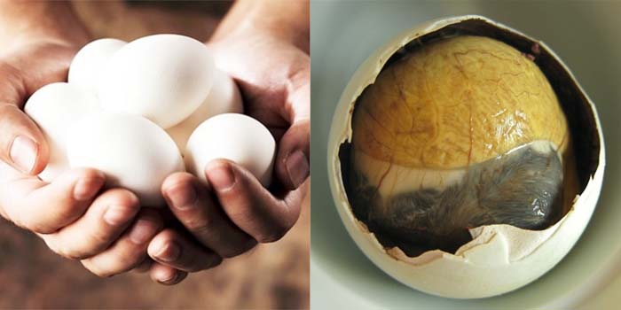 Tác dụng của trứng vịt lộn với nam giới như thế nào?