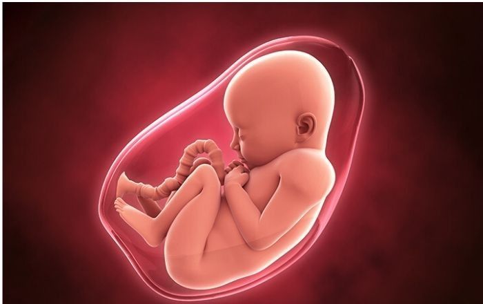 Tại sao em bé gò cứng trong bụng mẹ? Có nguy hiểm không?
