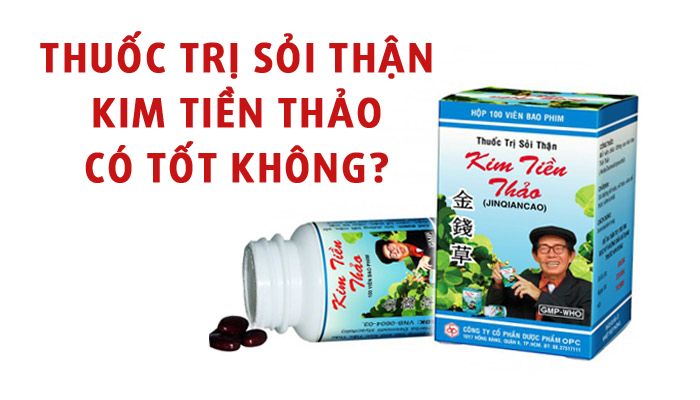 Thuốc trị sỏi thận Kim Tiền Thảo có tốt không?