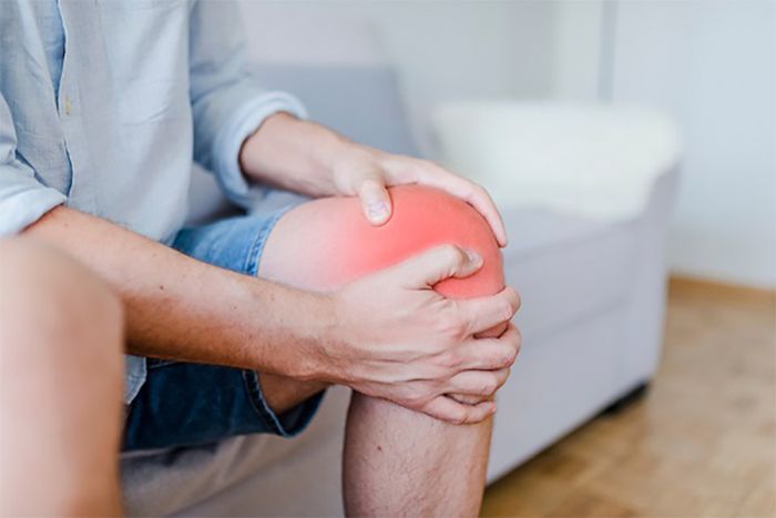 Cây móng quỷ mọc ở đâu? Cây móng quỷ có tác dụng gì?