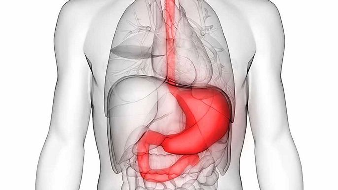 Dạ dày nằm ở đâu? Cấu tạo như thế nào và chức năng ra sao?