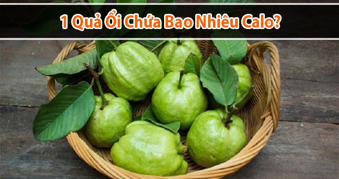 1 quả ổi bao nhiêu calo và những lợi ích không ngờ của ổi