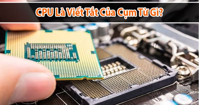CPU là viết tắt của từ gì? CPU quan trọng như thế nào với máy tính
