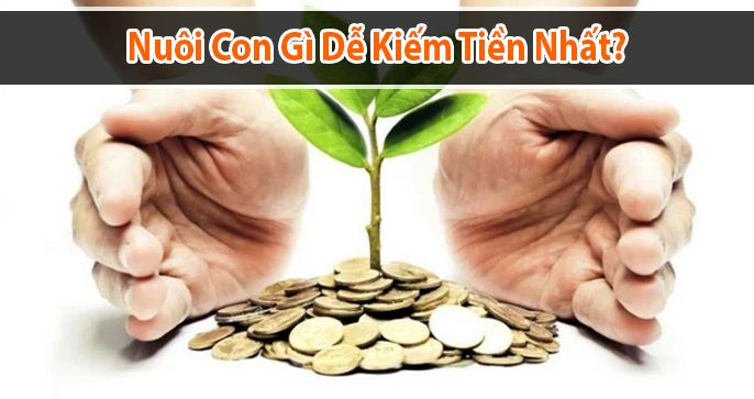 Nuôi con gì dễ kiếm tiền nhất?