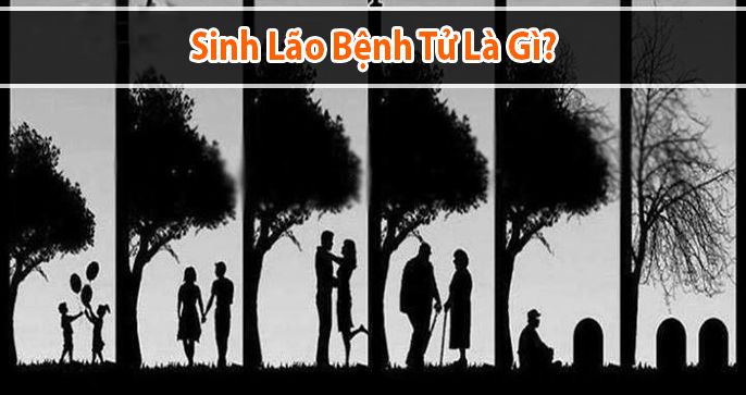 Sinh lão bệnh tử là gì? Sự thật về quy luật của đời người