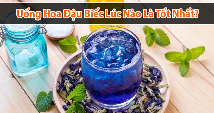 Uống hoa đậu biếc lúc nào là tốt nhất, có lợi ích gì?