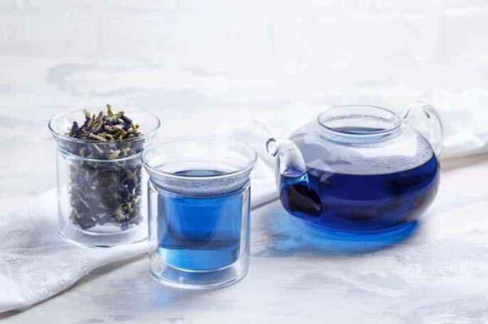 Uống hoa đậu biếc lúc nào là tốt nhất, có lợi ích gì?