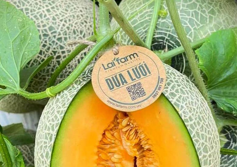 In ấn Sắc Kim - Dịch vụ in sticker ở Gò Vấp với chi phí thấp