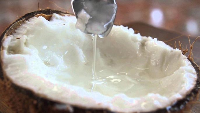 Dừa sáp là gì? Dừa sáp là đặc sản của tỉnh nào?