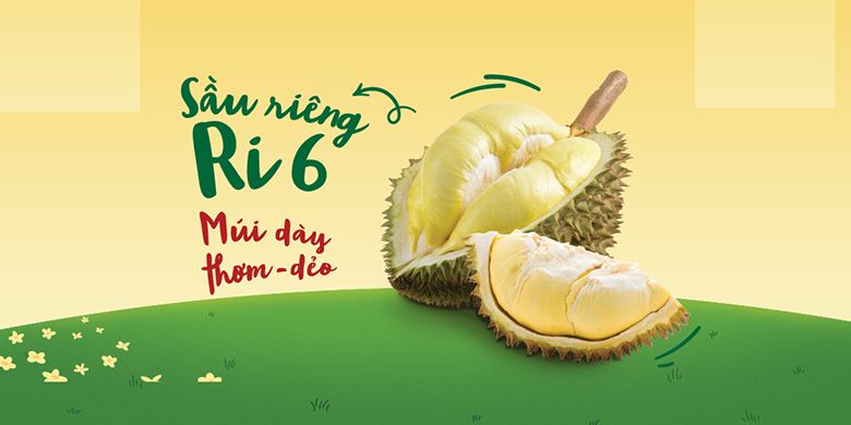 Sầu riêng là đặc sản của tỉnh nào ở Việt Nam?