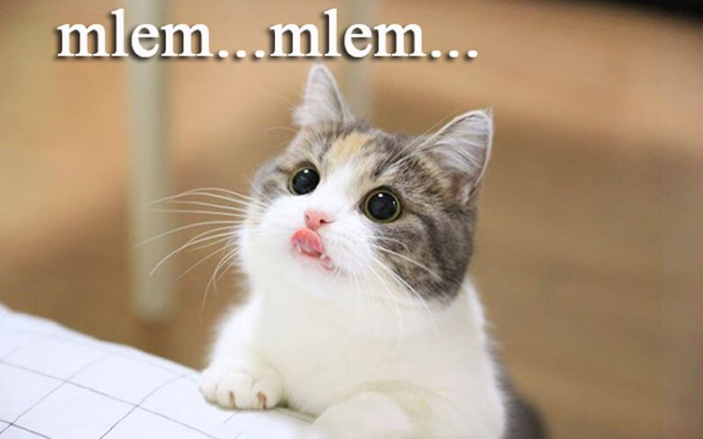 Mlem nghĩa là gì? Mlem Mlem có ý nghĩa gì trên MXH Facebook