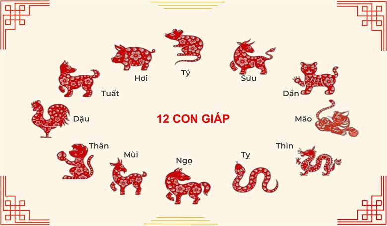 Cách xem tử vi hàng ngày 12 con giáp đầy đủ chính xác
