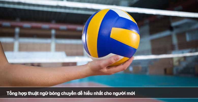 Tổng hợp thuật ngữ bóng chuyền dễ hiểu nhất cho người mới