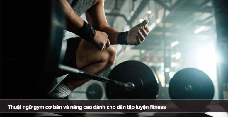 Thuật ngữ gym cơ bản và nâng cao dành cho dân tập luyện fitness