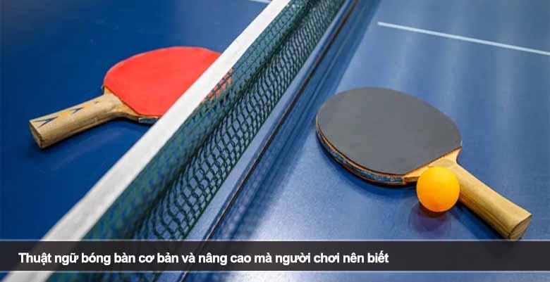 Thuật ngữ bóng bàn cơ bản và nâng cao mà người chơi nên biết 