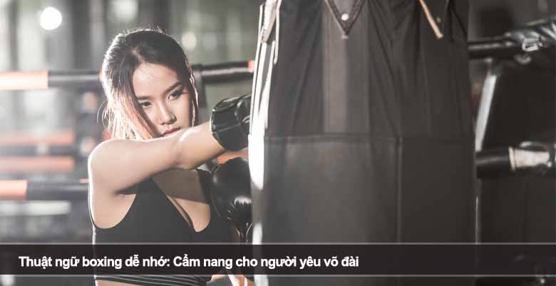 Thuật ngữ boxing dễ nhớ: Cẩm nang cho người yêu võ đài 