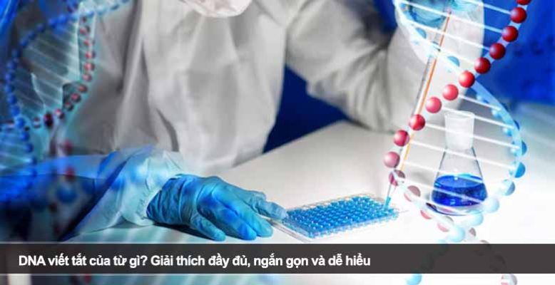 DNA viết tắt của từ gì? Giải thích đầy đủ, ngắn gọn và dễ hiểu